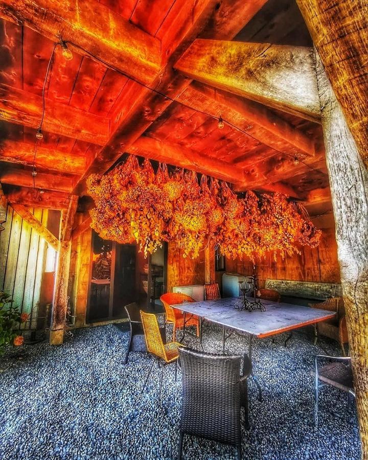 Bed and Breakfast Housewithnonails Matamata Exterior foto
