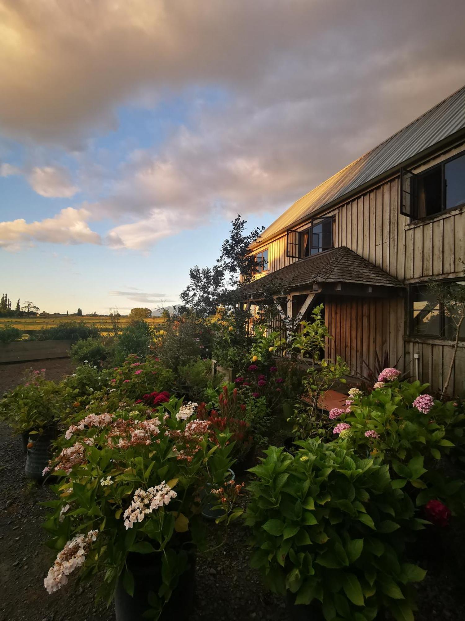 Bed and Breakfast Housewithnonails Matamata Exterior foto